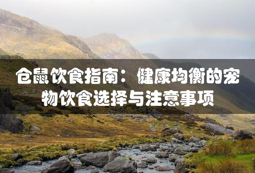 仓鼠饮食指南：健康均衡的宠物饮食选择与注意事项