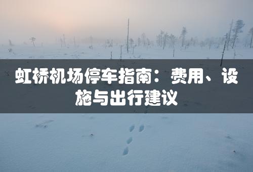 虹桥机场停车指南：费用、设施与出行建议