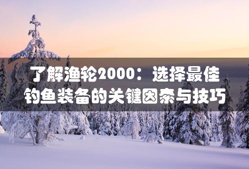 了解渔轮2000：选择最佳钓鱼装备的关键因素与技巧