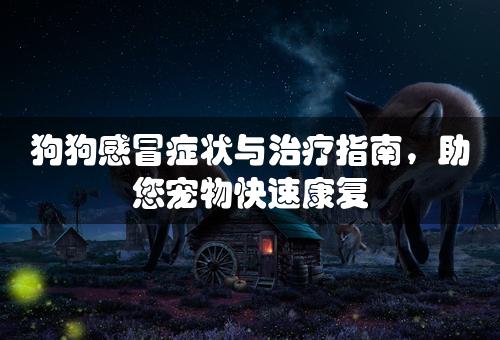 狗狗感冒症状与治疗指南，助您宠物快速康复