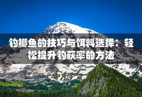 钓鲫鱼的技巧与饵料选择：轻松提升钓获率的方法