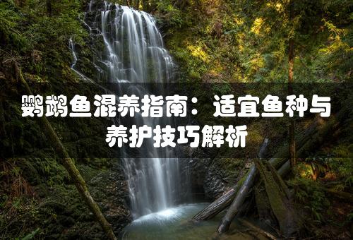 鹦鹉鱼混养指南：适宜鱼种与养护技巧解析