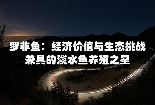 罗非鱼：经济价值与生态挑战兼具的淡水鱼养殖之星