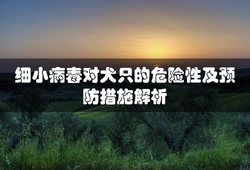 细小病毒对犬只的危险性及预防措施解析