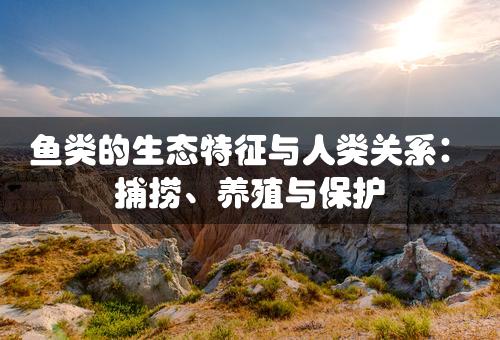 鱼类的生态特征与人类关系：捕捞、养殖与保护