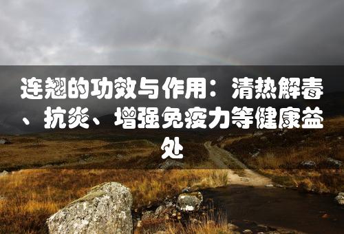 连翘的功效与作用：清热解毒、抗炎、增强免疫力等健康益处