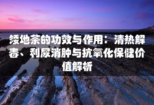 矮地茶的功效与作用：清热解毒、利尿消肿与抗氧化保健价值解析