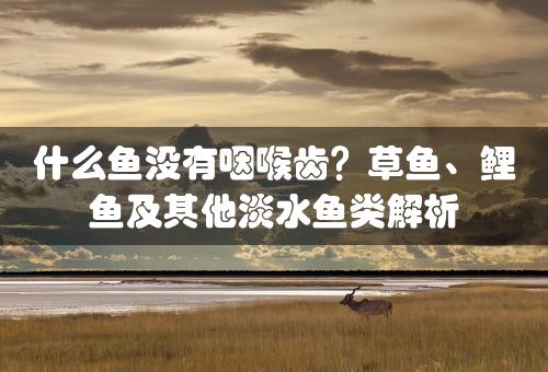 什么鱼没有咽喉齿？草鱼、鲤鱼及其他淡水鱼类解析