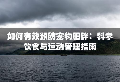 如何有效预防宠物肥胖：科学饮食与运动管理指南