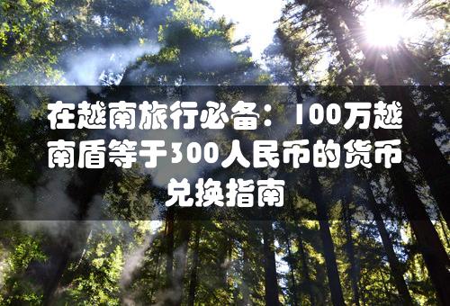 在越南旅行必备：100万越南盾等于300人民币的货币兑换指南