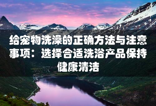 给宠物洗澡的正确方法与注意事项：选择合适洗浴产品保持健康清洁