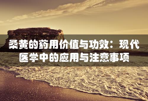 桑黄的药用价值与功效：现代医学中的应用与注意事项