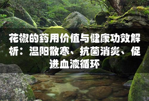 花椒的药用价值与健康功效解析：温阳散寒、抗菌消炎、促进血液循环