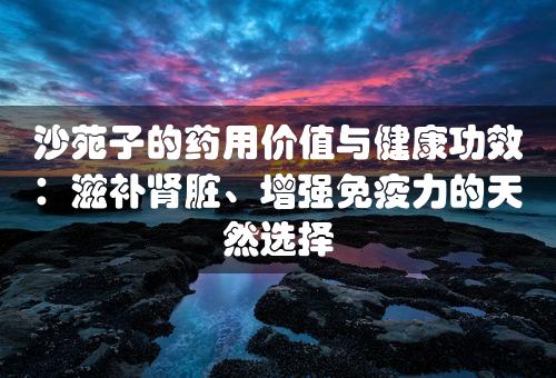 沙苑子的药用价值与健康功效：滋补肾脏、增强免疫力的天然选择