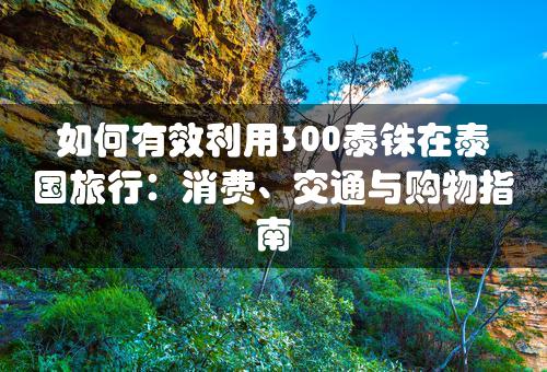 如何有效利用300泰铢在泰国旅行：消费、交通与购物指南