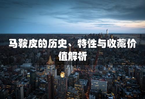 马鞍皮的历史、特性与收藏价值解析