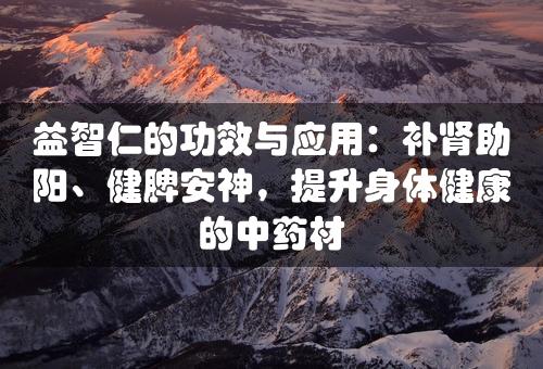 益智仁的功效与应用：补肾助阳、健脾安神，提升身体健康的中药材