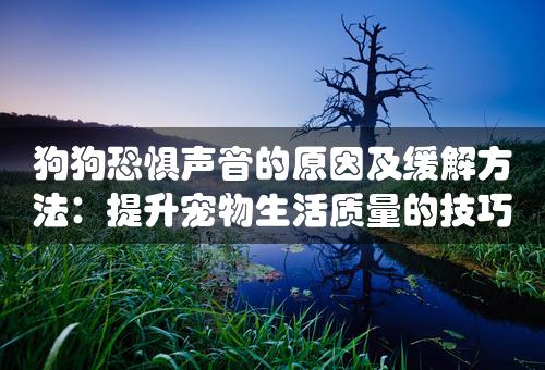 狗狗恐惧声音的原因及缓解方法：提升宠物生活质量的技巧