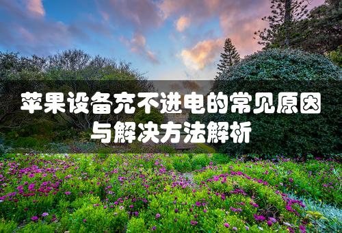 苹果设备充不进电的常见原因与解决方法解析