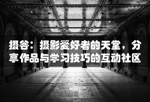 摄谷：摄影爱好者的天堂，分享作品与学习技巧的互动社区