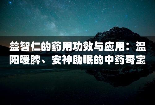 益智仁的药用功效与应用：温阳暖脾、安神助眠的中药奇宝