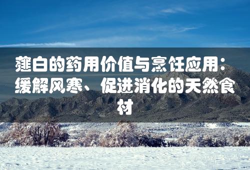 薤白的药用价值与烹饪应用：缓解风寒、促进消化的天然食材