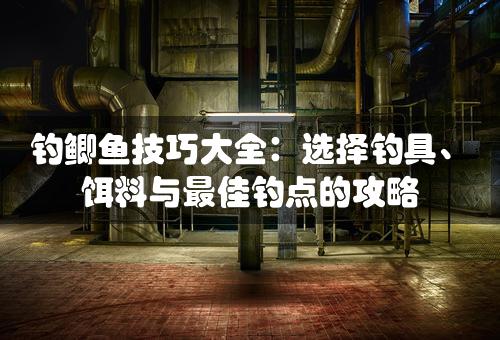 钓鲫鱼技巧大全：选择钓具、饵料与最佳钓点的攻略