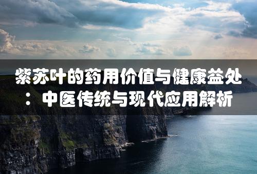 紫苏叶的药用价值与健康益处：中医传统与现代应用解析