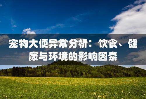 宠物大便异常分析：饮食、健康与环境的影响因素