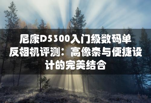 尼康D5300入门级数码单反相机评测：高像素与便捷设计的完美结合