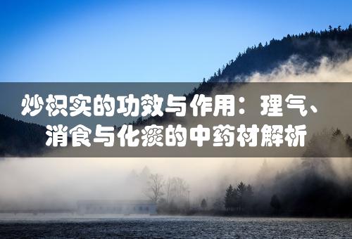 炒枳实的功效与作用：理气、消食与化痰的中药材解析