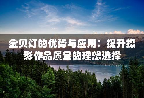 金贝灯的优势与应用：提升摄影作品质量的理想选择