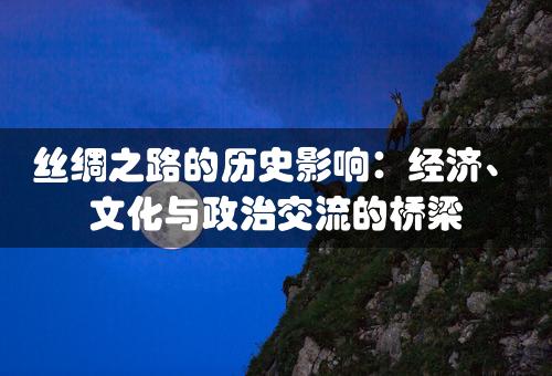 丝绸之路的历史影响：经济、文化与政治交流的桥梁