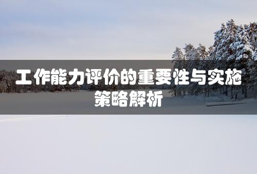 工作能力评价的重要性与实施策略解析