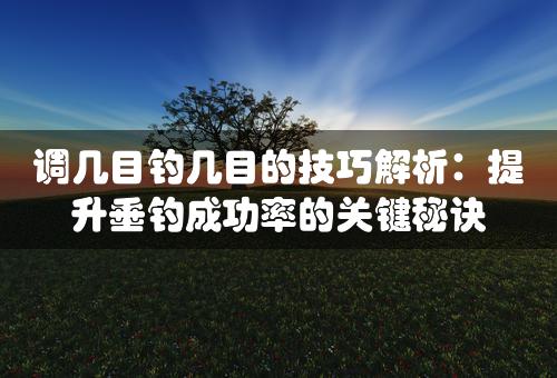 调几目钓几目的技巧解析：提升垂钓成功率的关键秘诀