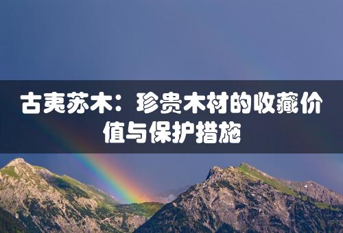 古夷苏木：珍贵木材的收藏价值与保护措施