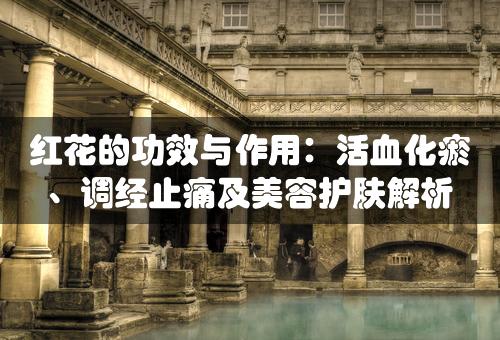 红花的功效与作用：活血化瘀、调经止痛及美容护肤解析