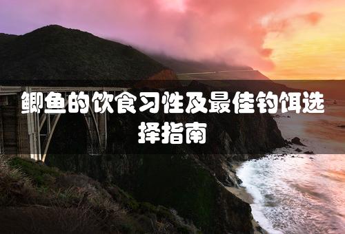 鲫鱼的饮食习性及最佳钓饵选择指南