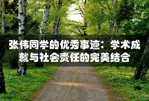 张伟同学的优秀事迹：学术成就与社会责任的完美结合