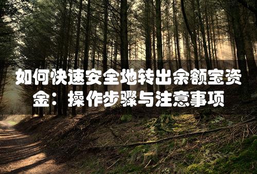 如何快速安全地转出余额宝资金：操作步骤与注意事项