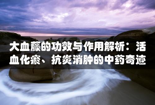 大血藤的功效与作用解析：活血化瘀、抗炎消肿的中药奇迹