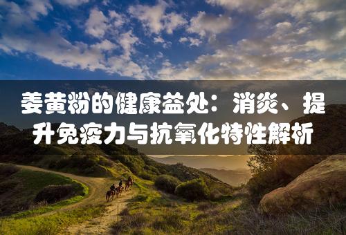 姜黄粉的健康益处：消炎、提升免疫力与抗氧化特性解析