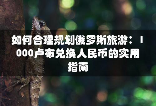 如何合理规划俄罗斯旅游：1000卢布兑换人民币的实用指南