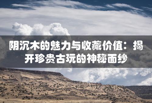 阴沉木的魅力与收藏价值：揭开珍贵古玩的神秘面纱