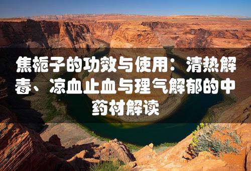 焦栀子的功效与使用：清热解毒、凉血止血与理气解郁的中药材解读