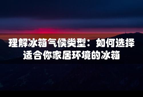 理解冰箱气候类型：如何选择适合你家居环境的冰箱