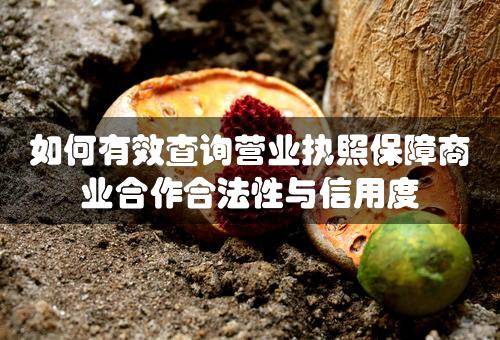 如何有效查询营业执照保障商业合作合法性与信用度