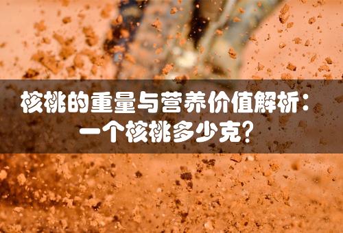 核桃的重量与营养价值解析：一个核桃多少克？