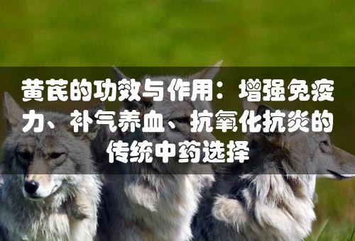 黄芪的功效与作用：增强免疫力、补气养血、抗氧化抗炎的传统中药选择