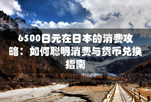 6500日元在日本的消费攻略：如何聪明消费与货币兑换指南